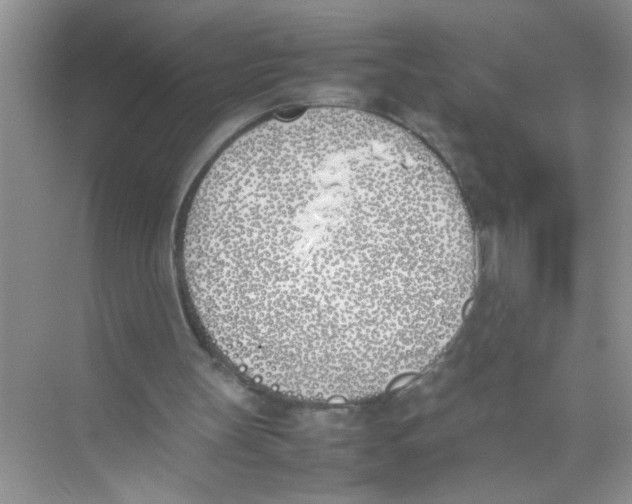 X0000074310147200609230009