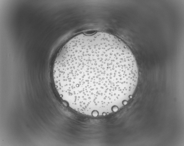 X0000074310149200609230009