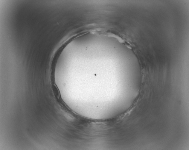 X0000074310150200609230009