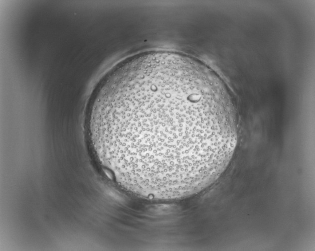 X0000074310151200609230009