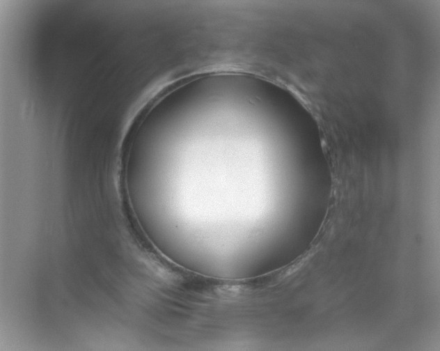 X0000074310152200609230009