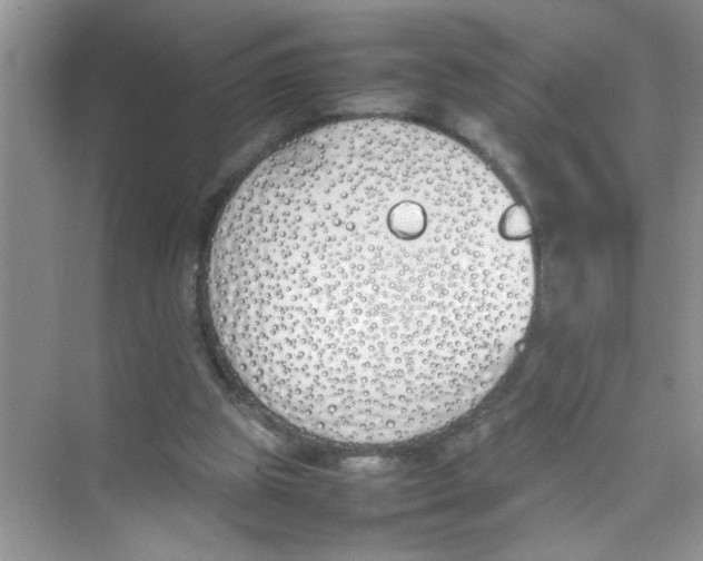 X0000074310153200609230009