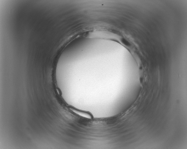 X0000074310154200609230010