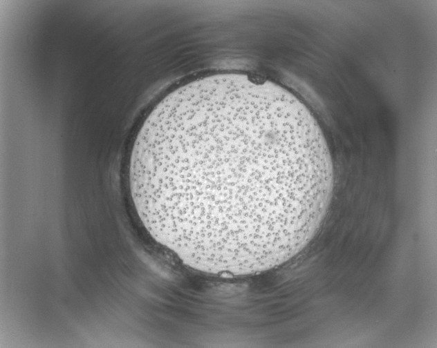 X0000074310155200609230010