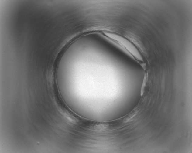 X0000074310156200609230010