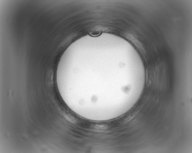 X0000074310157200609230010