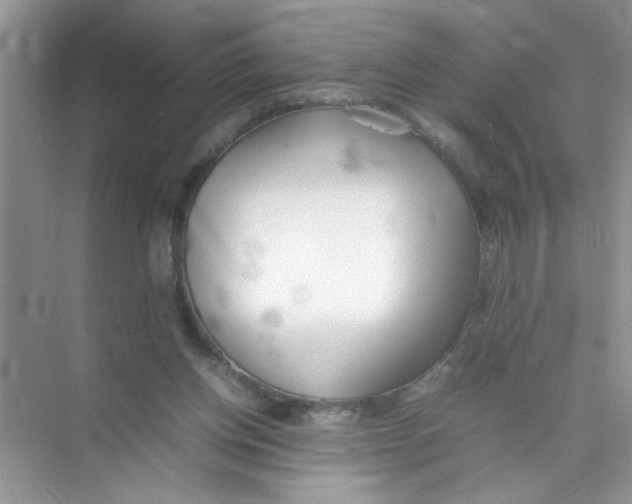 X0000074310158200609230010