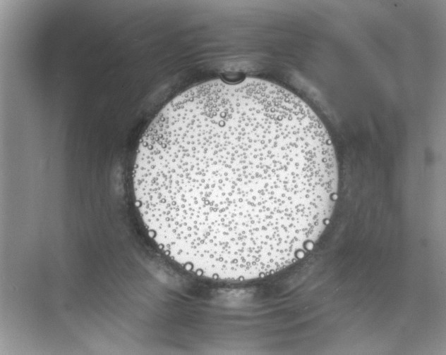 X0000074310161200609230010