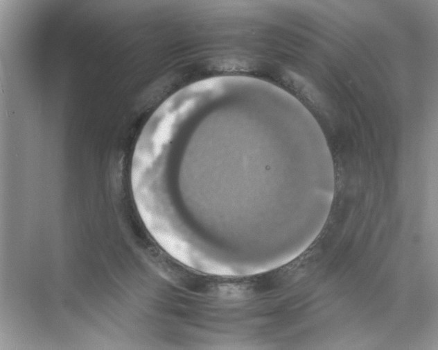 X0000074310163200609230010