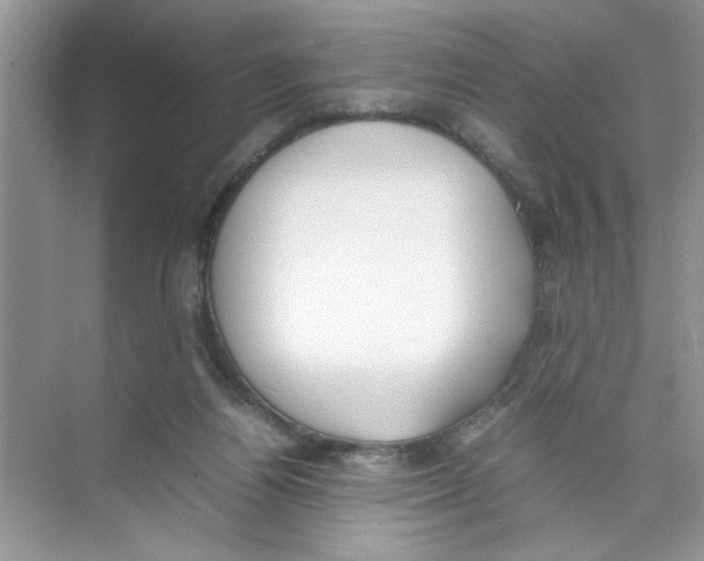 X0000074310164200609230010