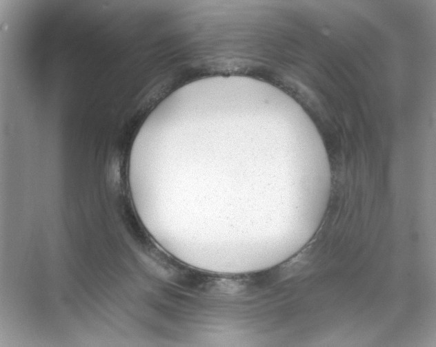 X0000074310166200609230010