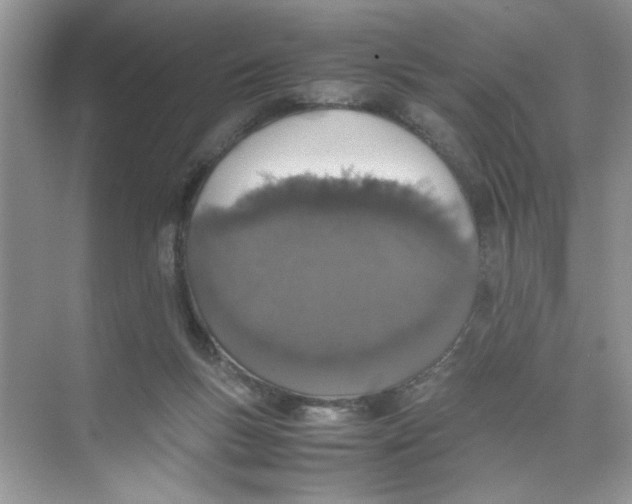 X0000074310167200609230010