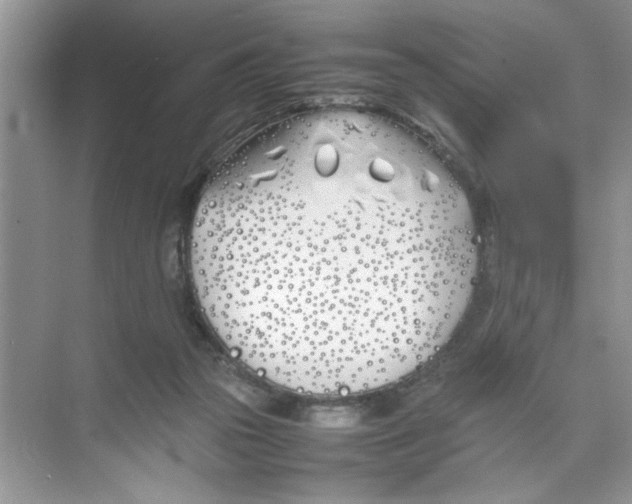 X0000074310169200609230010