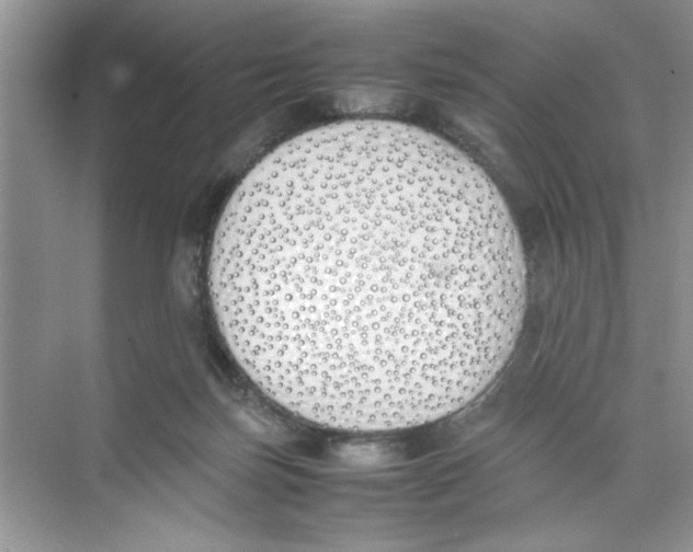 X0000074310171200609230010