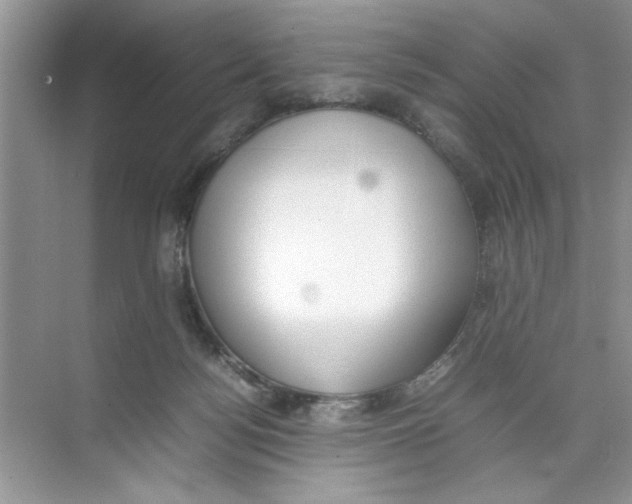 X0000074310172200609230010