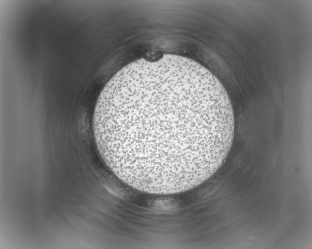 X0000074310173200609230010