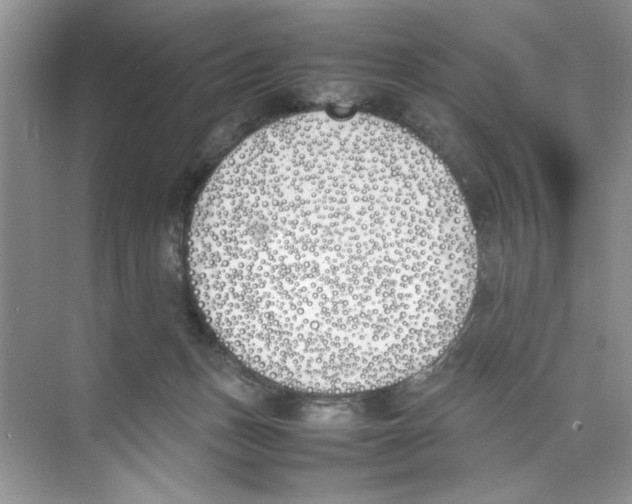 X0000074310175200609230010