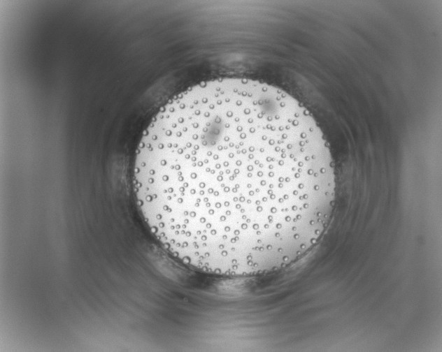 X0000074310178200609230010