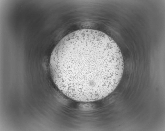 X0000074310181200609230010