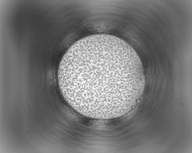 X0000074310182200609230010