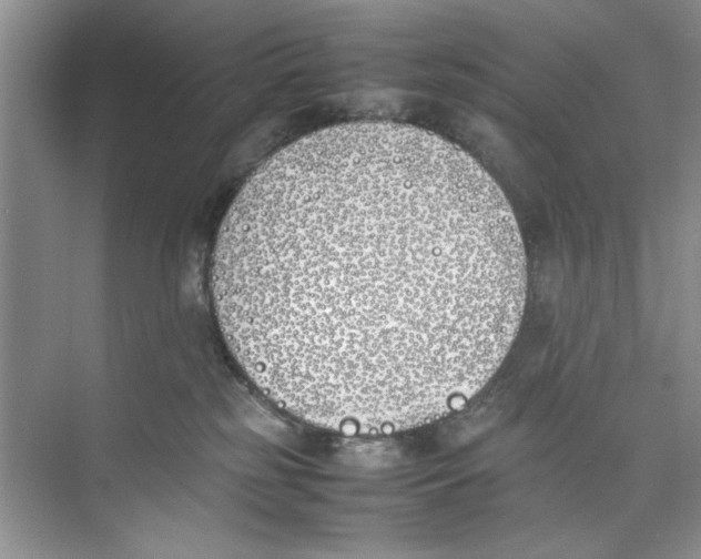 X0000074310185200609230010