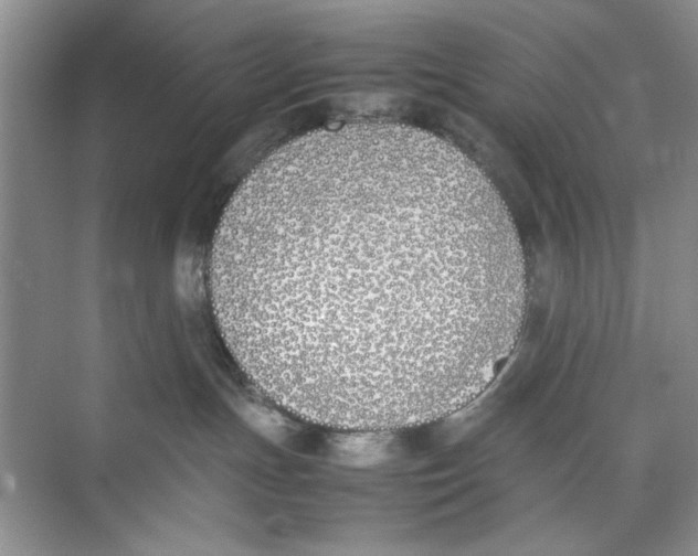 X0000074310191200609230010