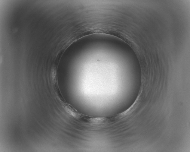 X0000074310192200609230010