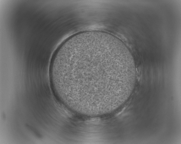 X0000074310196200609230009