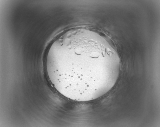 X0000074310198200609230009