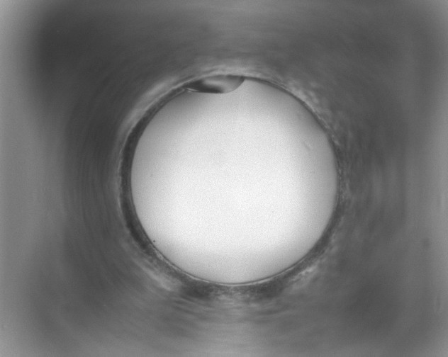 X0000074310199200609230009