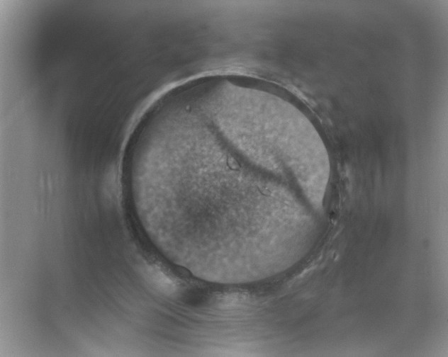 X0000074310200200609230009