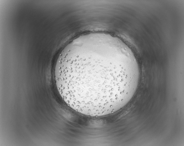 X0000074310202200609230009