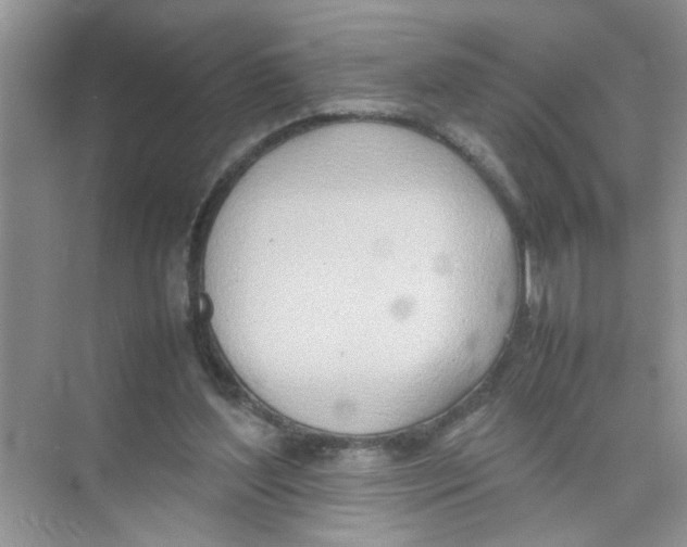 X0000074310204200609230009