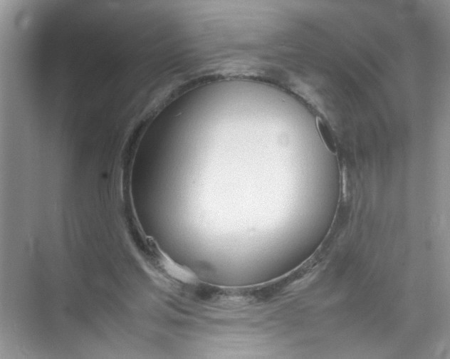 X0000074310205200609230009