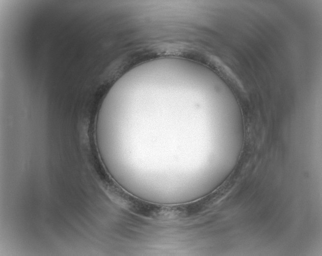 X0000074310209200609230009