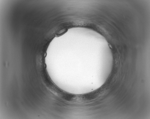 X0000074310211200609230009