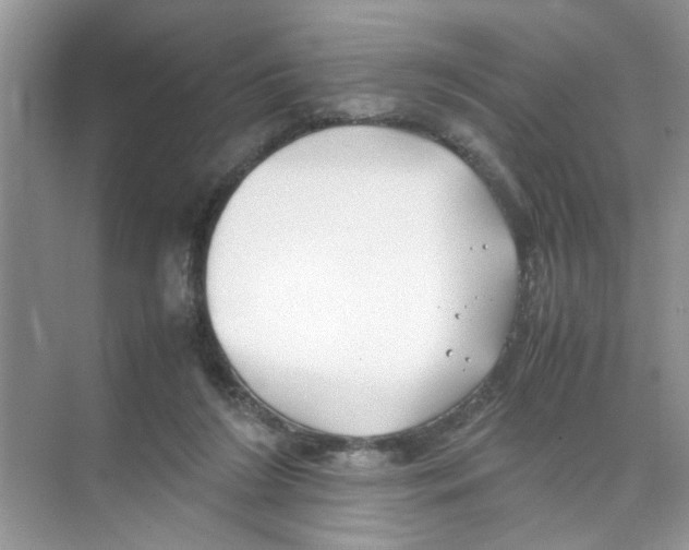 X0000074310212200609230009