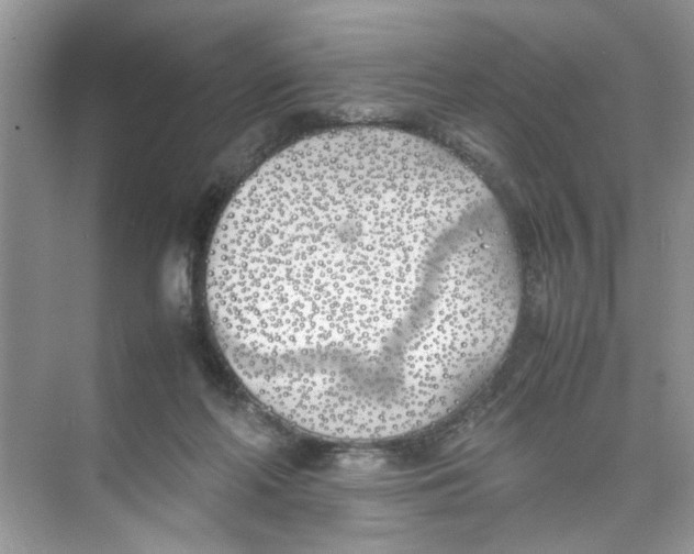 X0000074310214200609230009