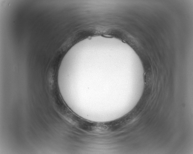 X0000074310215200609230009