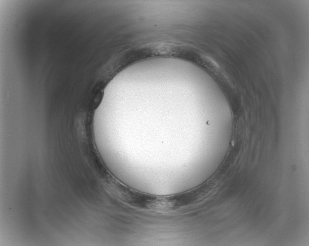 X0000074310217200609230009