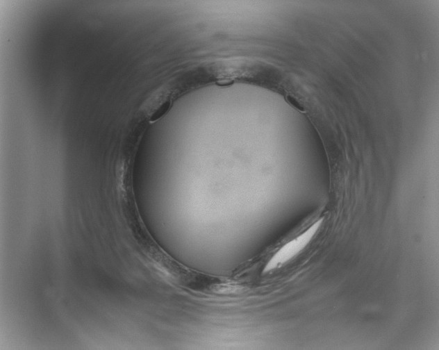 X0000074310219200609230009