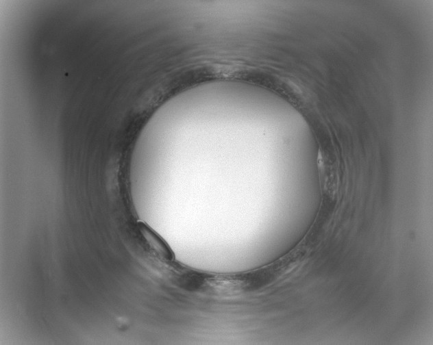 X0000074310221200609230009