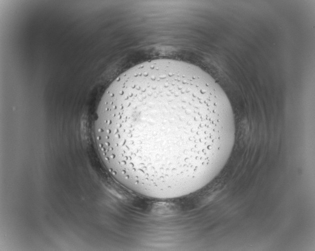 X0000074310222200609230009