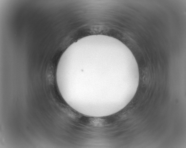 X0000074310226200609230009