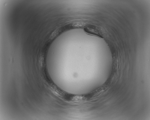 X0000074310227200609230009