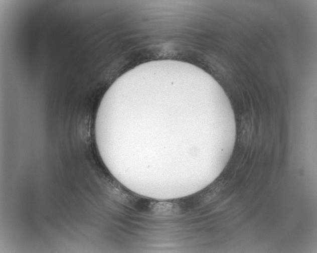 X0000074310230200609230009