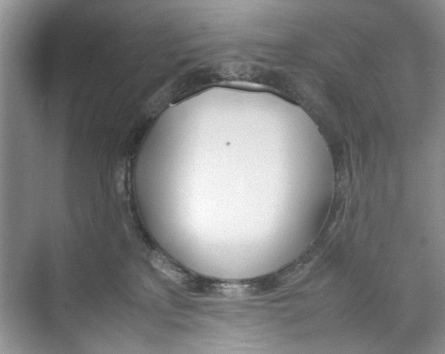 X0000074310233200609230009