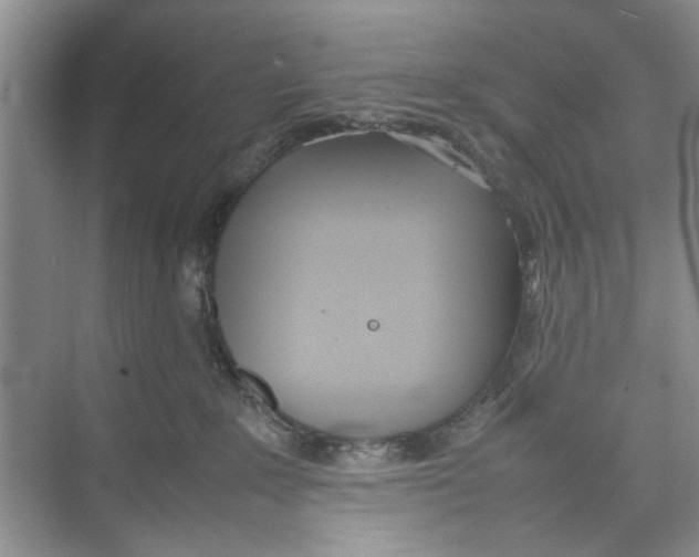 X0000074310235200609230009