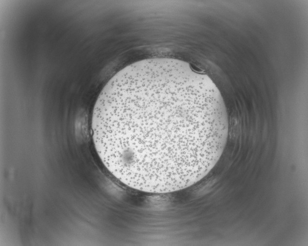 X0000074310238200609230009