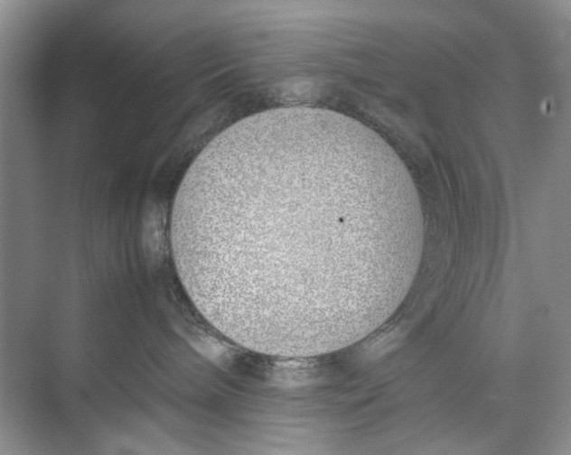 X0000074310240200609230009